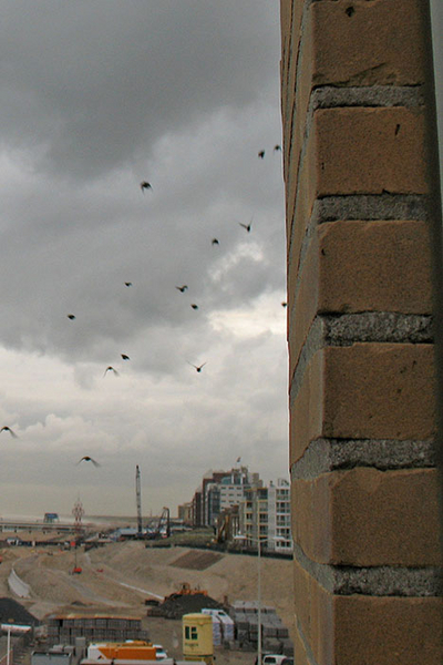 Vogeltrek
Om te laten zien hoe dicht ze langs mijn raam vliegen
Trefwoorden: Scheveningen