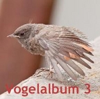 omslag_Vogelalbum_3.JPG